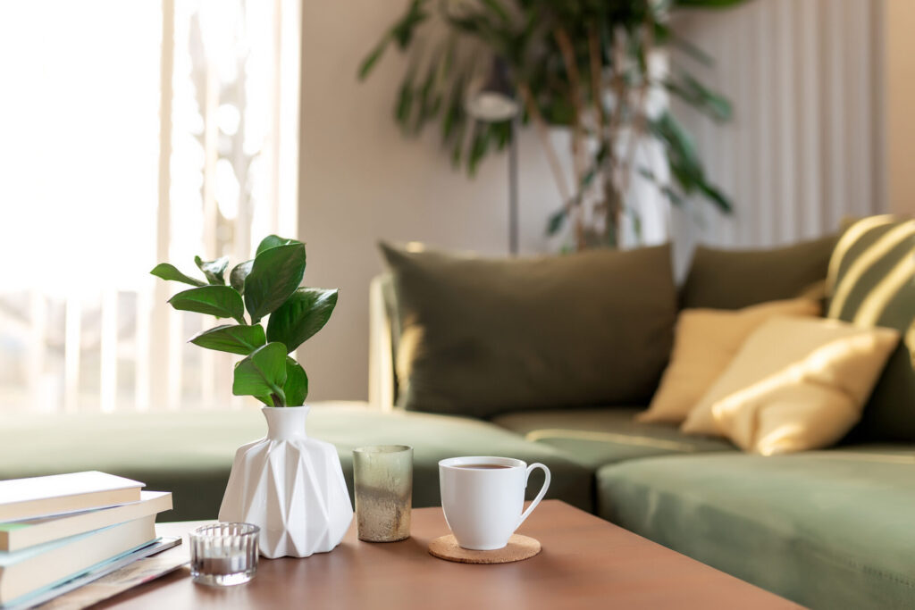 table with coffee and plant